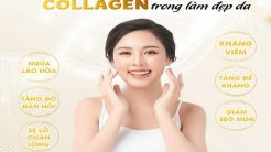 Công Dụng Tuyệt Vời Của Collagen Trong Làm Đẹp Da