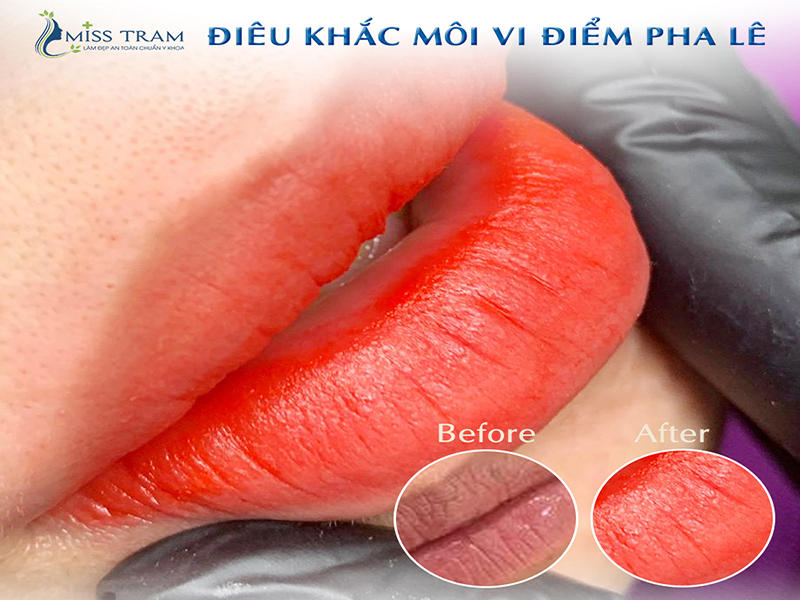 Xuất Sắc Đôi Môi Điêu Khắc Vi Điểm Pha Lê