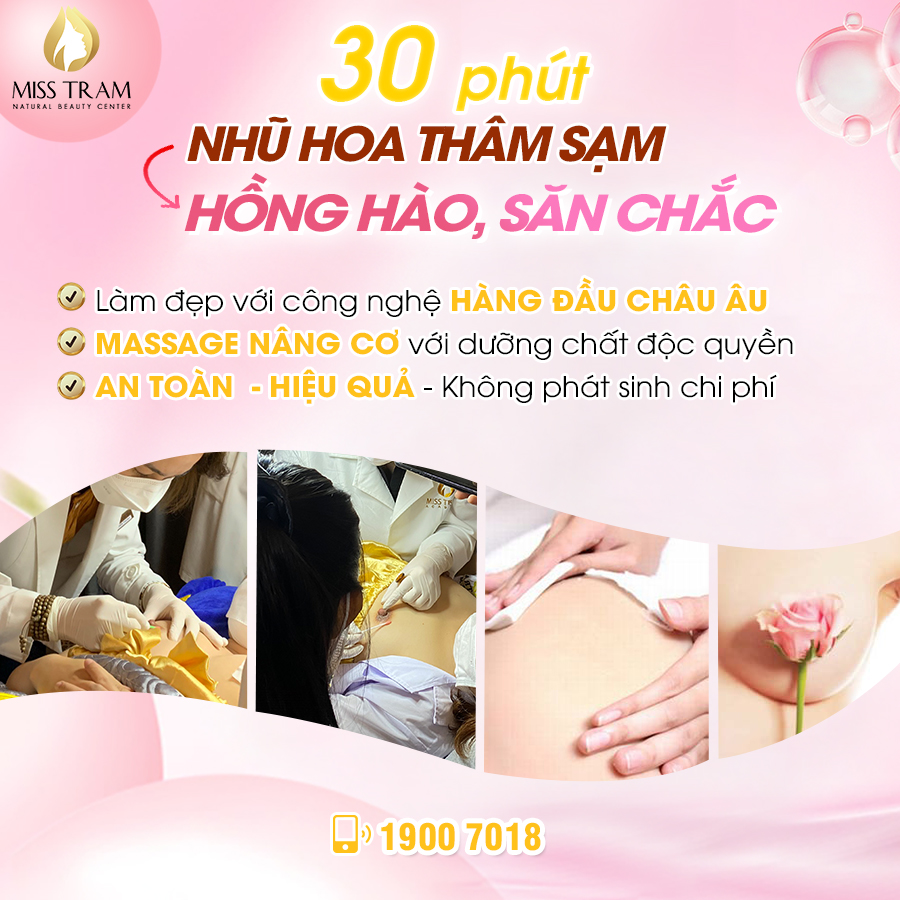 Lam hong nhu hoa ANh 3